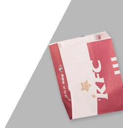 Flat and Satchel Paper Bag Making Machine (with 2 Color Flexo Printer)